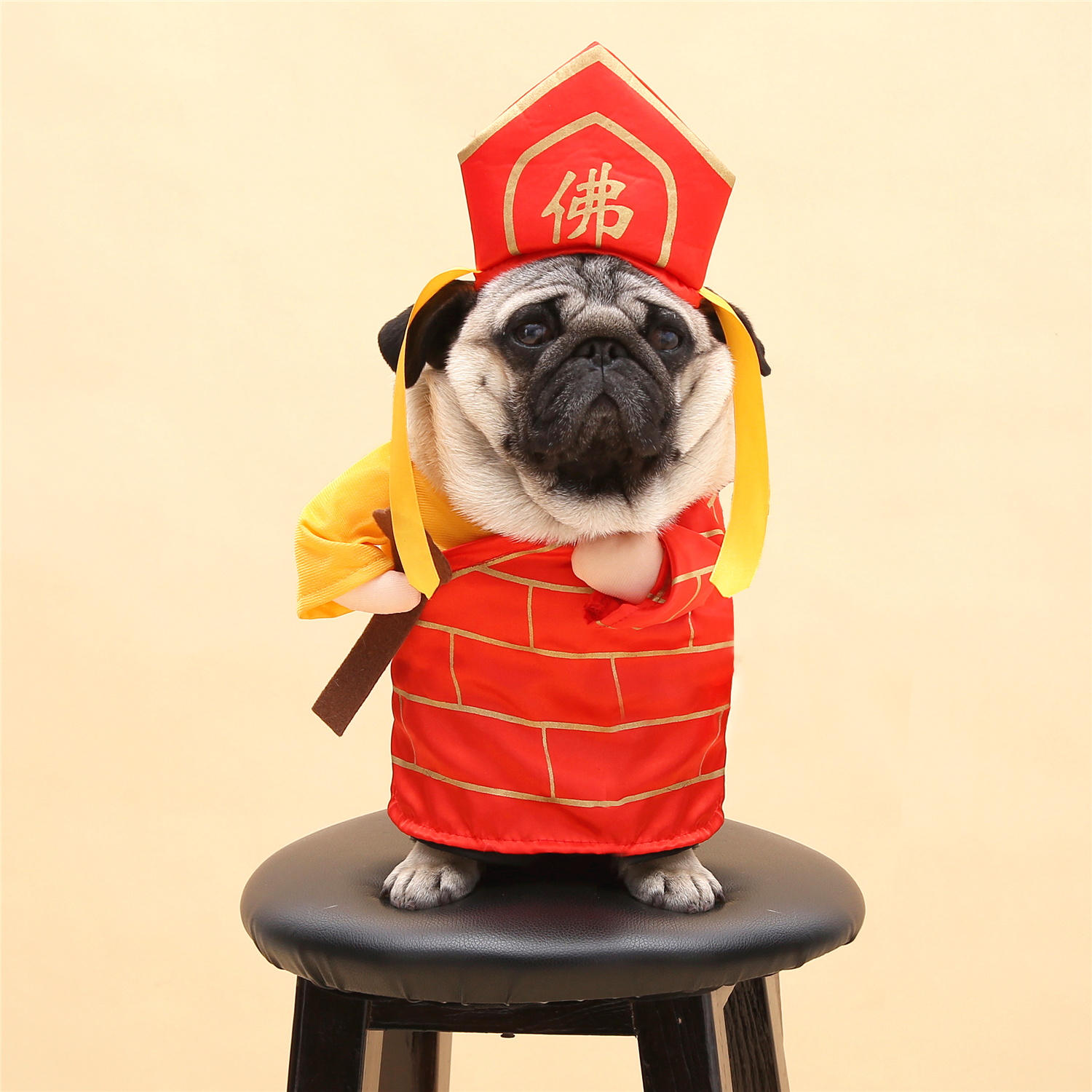 Quần áo chó hài hước quần áo mèo vui quần áo thú cưng giải trí biến đổi Teddy Bago mèo thẳng đứng - Quần áo & phụ kiện thú cưng áo cho chó poodle