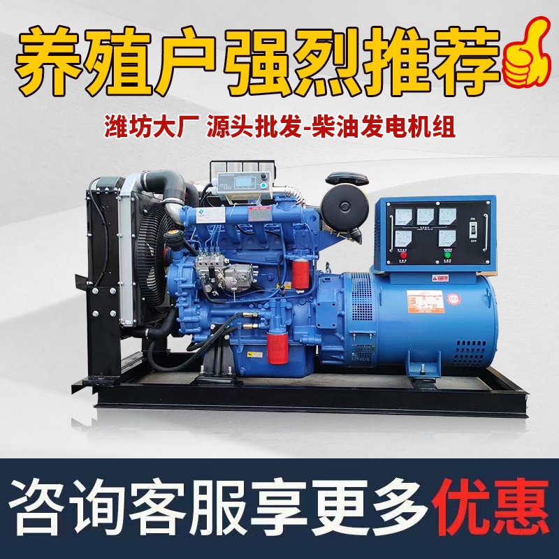 Weifang Diesel Generator Set 30Kw40/50/100/150/200/300/500 Kilowatt Breeding with Welding