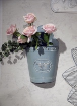 2021 New Senduyuan Lake blue wrought iron wall wall illustration flower groceries gardening storage home accessories