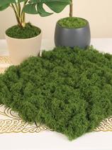 Simulation Moss Turf Bionic Artificial False Green Moss Micro Landscape Arrangement Green Plant Grass Terrace Potted Shop Window Decoration Building