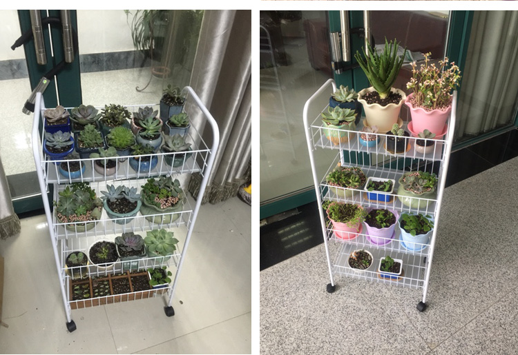Cây hoa mọng nước đơn giản sàn phòng khách nhiều lớp di chuyển bằng sắt rèn cây hoa đứng ban công chậu hoa giá kệ - Kệ ke sach