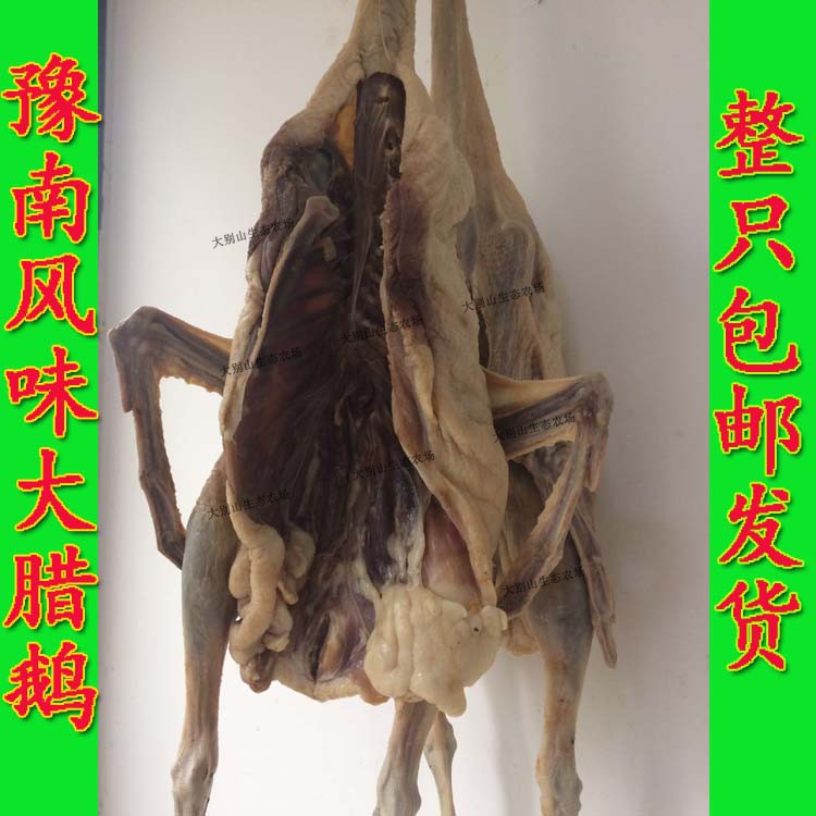 Henan Xinyang Earth Products Old Goose White Goose Traditional Salted Goose Goodies The Goose Block Whole Earth And Goose Goose