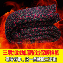 Elderly cotton pants female thickened elastic high waist 50-60-70 years old loose plus velvet winter northeast warm camel velvet outer wear