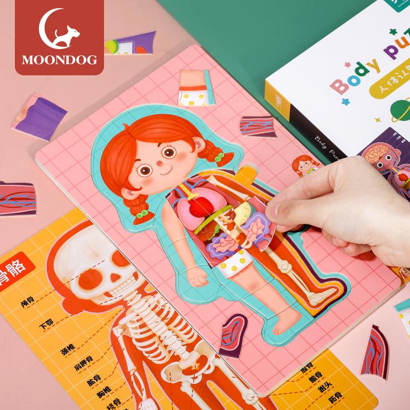 Children's human body Cognitive Body Structural Organ Jigsaw Puzzle Pieces Boy Girl Model Kindergarten Teaching Aids Puzzle toys