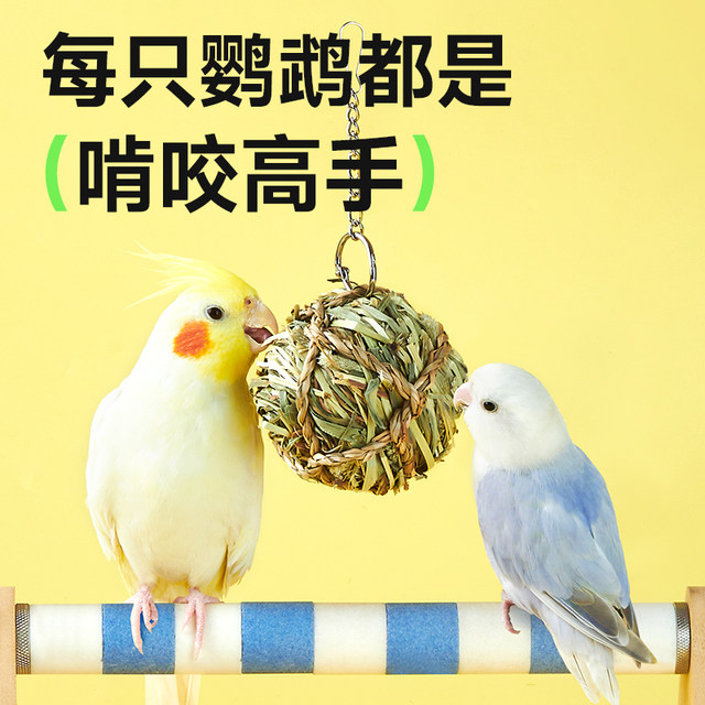 yee parrot chew toys to decompress and relieve bored, takraw skewers balls, black phoenix and peony bird rewards, ຜະລິດຕະພັນພິເສດເພື່ອປ້ອງກັນການຊຶມເສົ້າ