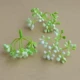 210 кристаллический фрукт светло -зеленый 50