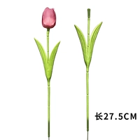 Мягкий клей [цветочная полоса тюльпана] 50 корней