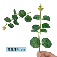 Emerald Green 601 Сингл Форк Денежный лист 20