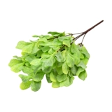 Высокая симуляция денег листья вставки цветок зеленый листья