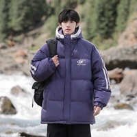 25 фиолетовый