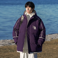 93 Аврора Пурпур