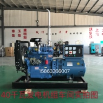 Dingcheng factory direct sales 40kw kilowatt diesel generator set breeding site silent automatic 4100 brushless