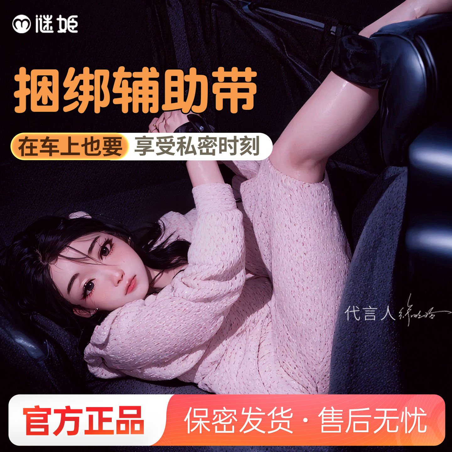 Car Restraint Kit