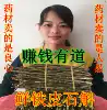 Yunnan Huoshan authentic fresh Dendrobium dendrobium fresh strips Dendrobium maple bucket 500 grams