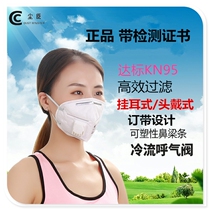 kn 95 mask 3D stereo protection dust comfort and breathable adult and female suitable