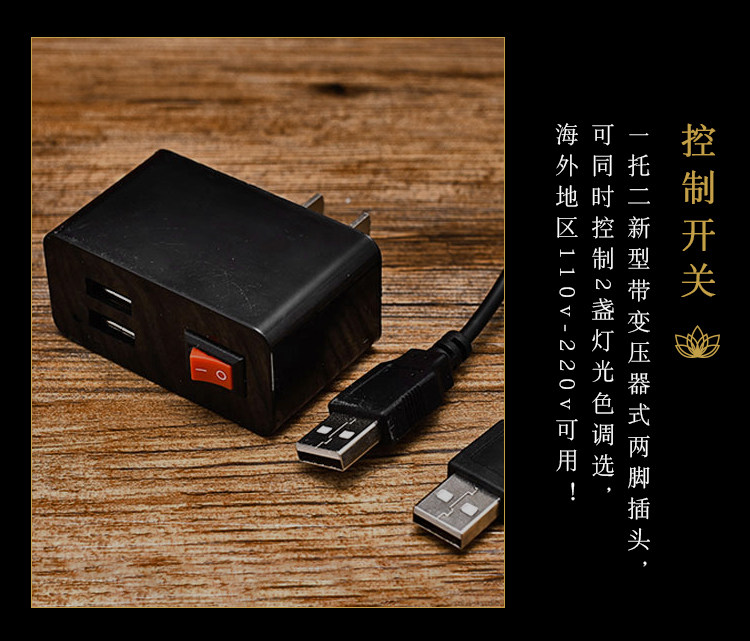 For the Buddha Lotus lamp plug 110V-220V One drag two plugs-Taobao