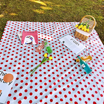 ins po points park grass spring tours mat disposable picnic cushion thickened waterproof portable outdoor lawn mat