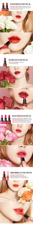 Alice etude house túp lều son môi mini set mẫu hoa hồng nụ hôn hoa hồng hôn lá phong