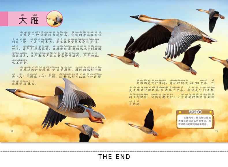 《动物小百科》儿童绘本注音版 全10册 图8