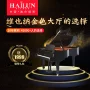 Helen piano chính thức cửa hàng hàng đầu thương hiệu mới gỗ rắn grand piano HG198 gia đình chơi piano chuyên nghiệp - dương cầm yamaha clp 745