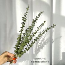 Eugalia dried flower bouquet decoration small ornaments branches home light luxury creative ins photo props forever flowers