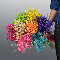 Acacia bean dried flower forever flower diy material rich bean Yunnan straight hair plant specimen home handmade flower arrangement