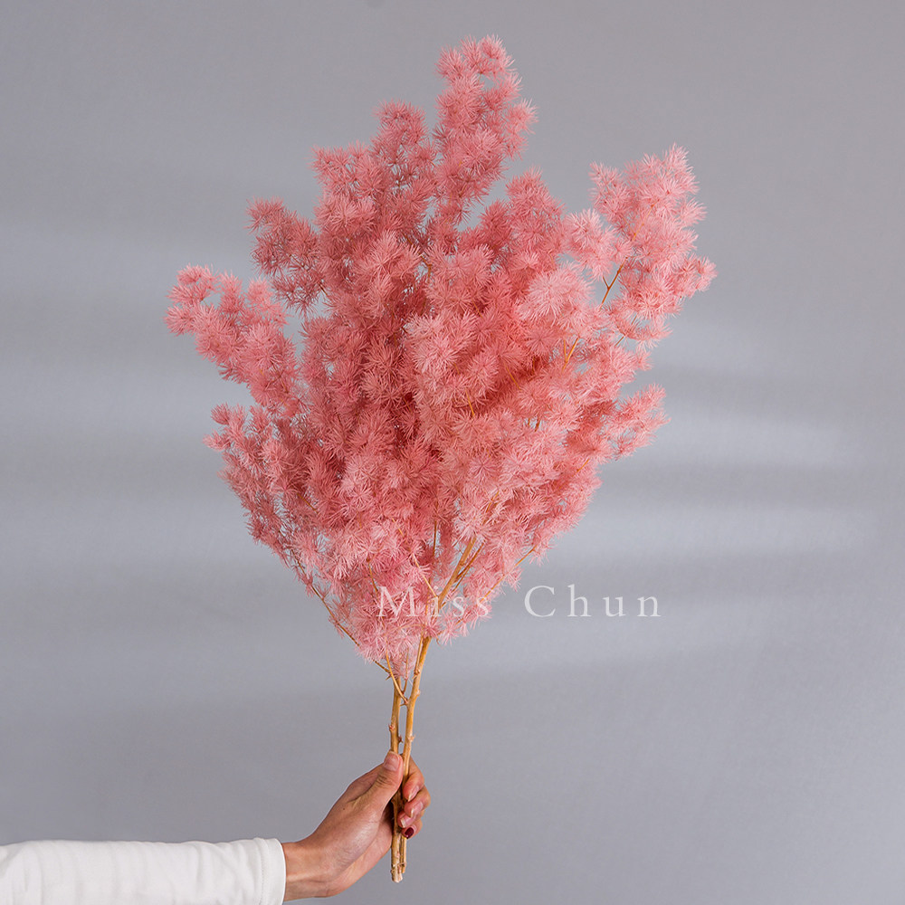 Penglai Song Dried Flowers Preserved Flowers DIY Material Net Red Bouquet High-end Light Luxury Home Furnishing Flower Arrangement Real Flower Branches