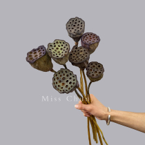 Lotus dried flower home immortal real flower decoration ornaments natural lotus root Lotus lotus flower arrangement living room decoration Chinese Zen