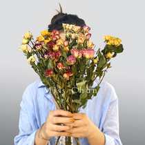 Yunnan small rose dried flower bouquet starry flower living room bedroom decoration home furnishings ins Nordic ornaments