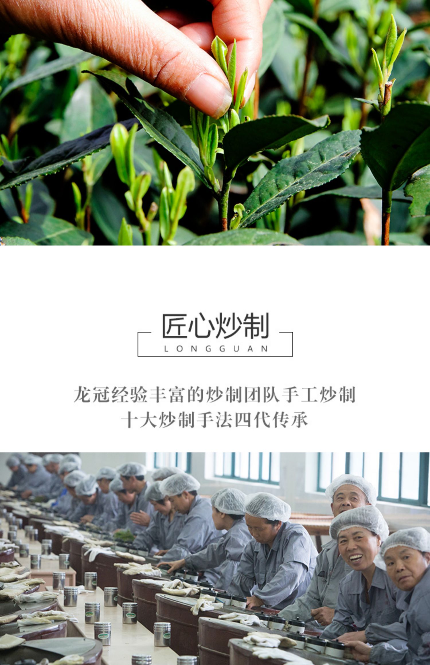 [2022新茶上市]龙冠龙单罐100g