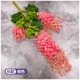 Mô phỏng Hoa Wisteria Hoa giả Hoa đậu chuỗi Hoa Chuỗi đám cưới Hoa trong nhà Dải trần nhựa Hoa treo mây trang trí - Hoa nhân tạo / Cây / Trái cây bình hoa giả