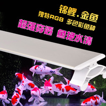 LED aquarium fish tank light stand Koi goldfish special ornamental shelf light lamps and lanterns High penetration high brightness color rendering