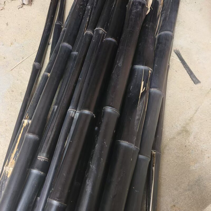 Xiuxing Bamboo Cactus Fighting Bamboo Black Bamboo Chinese Medicinal Materials Pure Natural Black Bamboo Boutique Unified Is Not Purple Bamboo Xiuxing Bamboo Cactus Fighting Bamboo Black Bamboo Chinese Medicinal Materials Pure Natural Black Bamboo Boutique Unified Is Not Purple Bamboo