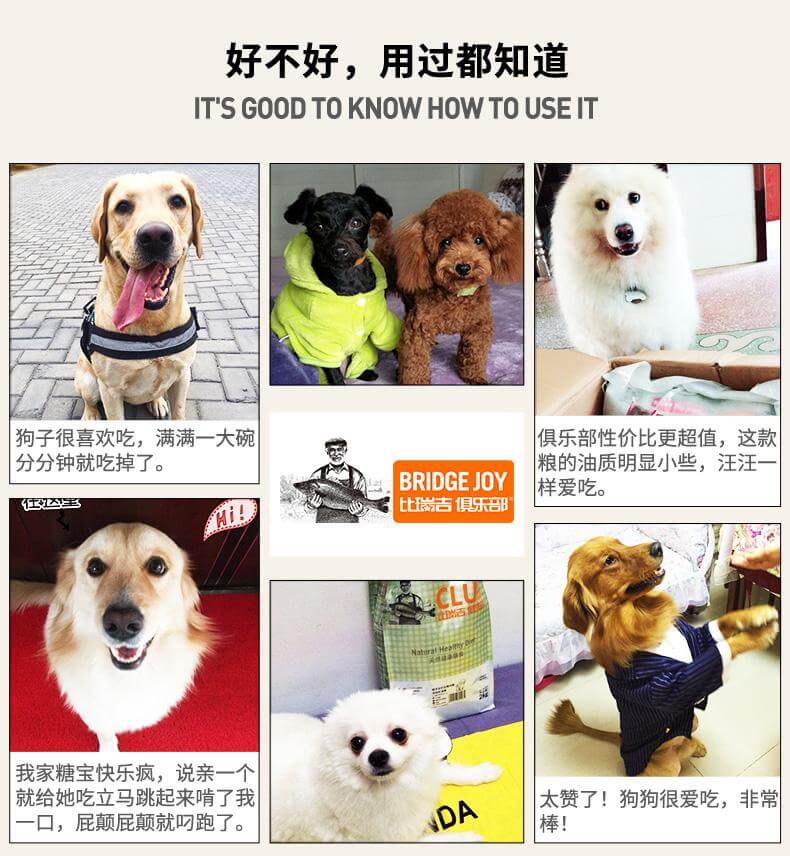 Thức ăn cho chó Brigham 10kg so với câu lạc bộ St. Regis thức ăn cho chó phổ quát Teddy Golden Retriever tự nhiên tải 20 kg - Chó Staples thức ăn cho chó phốc hươu