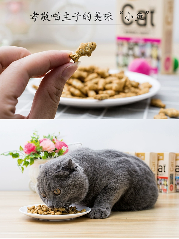 Lusi mèo bánh quy mèo ăn nhẹ mèo với bánh quy cá nhỏ 4 hộp mèo con vào răng hàm mèo mèo ăn nhẹ catnip - Đồ ăn nhẹ cho mèo