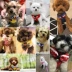 Dog dây mèo chó dây xích thú cưng dây đeo Teddy Teddy chuỗi chó Pomeranian chó nhỏ chó cung cấp - Cat / Dog hàng ngày Neccessities