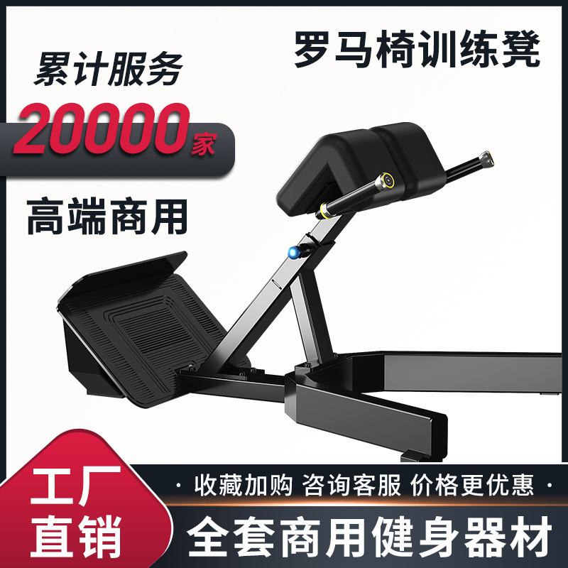 Roman Stool Back Lumbar Muscle Trainer Gym Commercial Roman Chair Goat Stand Up Exercise Fitness Chair