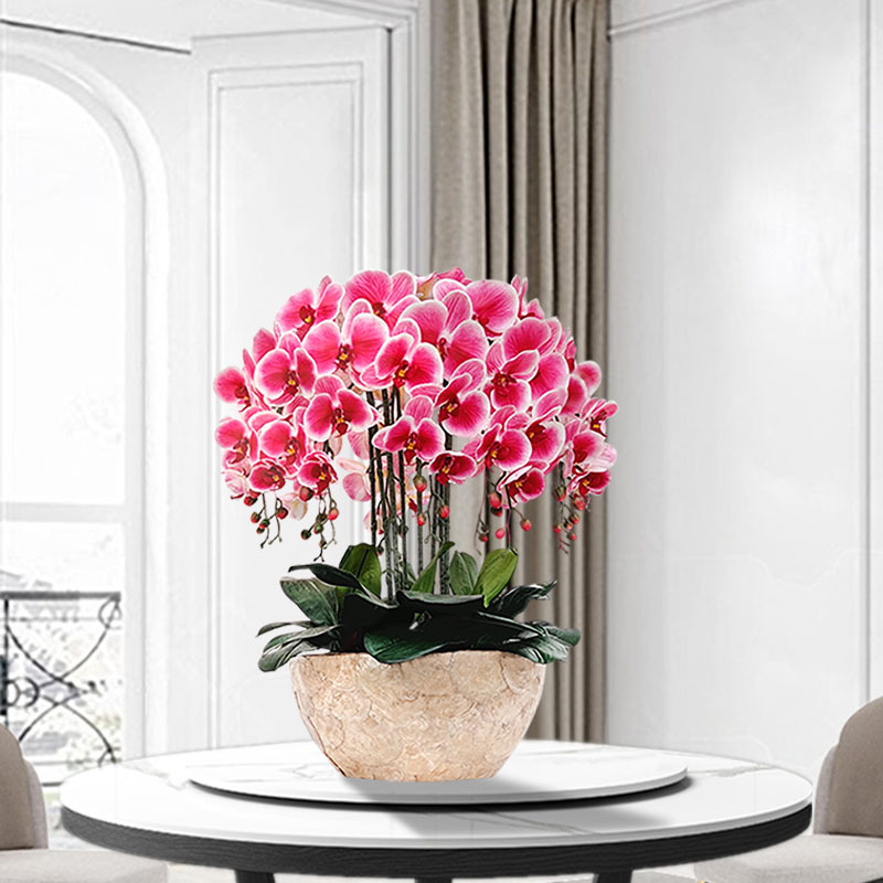 Artificial Phalaenopsis Orchid Set Plastic Floral Arrangement Silk Flowers Fake Flower Pot Plant Living Room Decoration Dining Table Dried Flower Bouquet