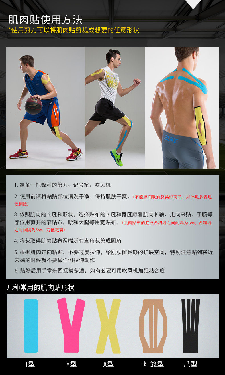 Описание мышц 08.jpg