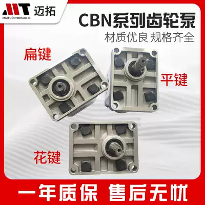 Gear pump CBN-E310 CBN-E306 CBN-E316 E320 E325 E314 E308