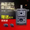 Maxtor Hydraulic Xianju Yongling variable vane pump PV2R1-4 6 10 12 14 17 19 23 25 31