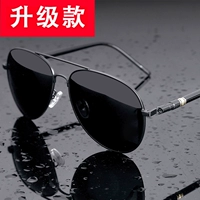 Черная каркавая черная пленка (力 力 荐 荐 荐+поляризация)