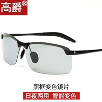 Изменение цвета черного рамы (поляризованное+изменение цвета)