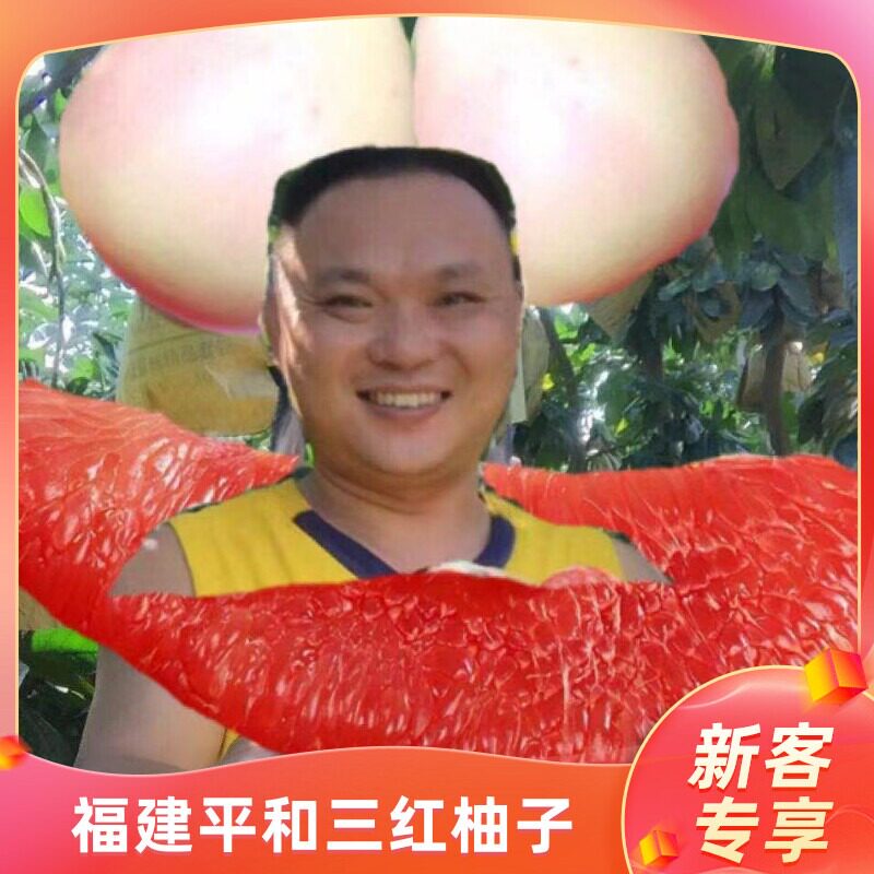 福建柚子哥