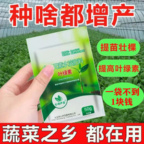 Chlorophyll amino acid foliar fertilizer feuds grow thick and green rooting quantity element water soluble fertilizer universal