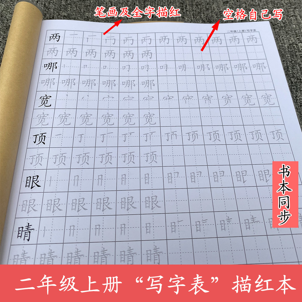 Language Second Grade Book Description Red Editorial Editorial Editorial Edition Text and Synchronized Italian Painting Practice