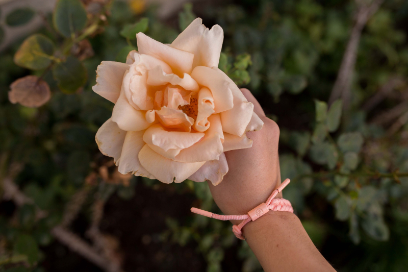 RASTACLAT Chính thức Little Lion Pure Color Nhiều màu Mini Style Cặp đôi Vòng tay - Vòng đeo tay Clasp vòng tay pandora