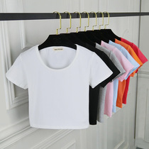 Summer pure cotton dew navel Latin dance short sleeve female short sport T-shirt tight height waist blouses dance practice clothing