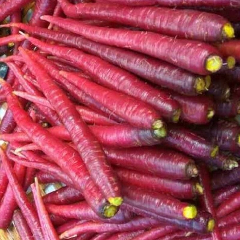 Yunnan Dali Purple Purple Carrot Raw to eat sweet and crisp-er Purple Clouds Robe freshly found to ship 2 catty boxes of gift boxes
