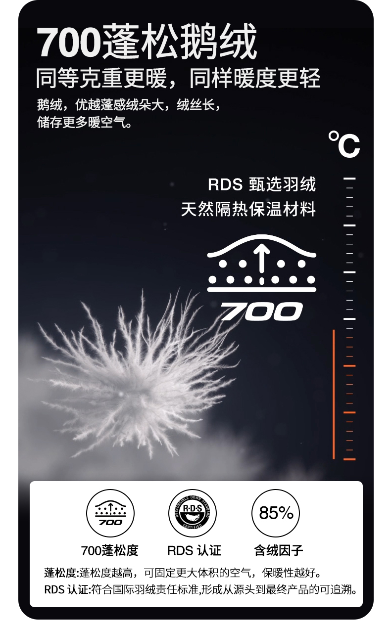 85 700蓬.jpg